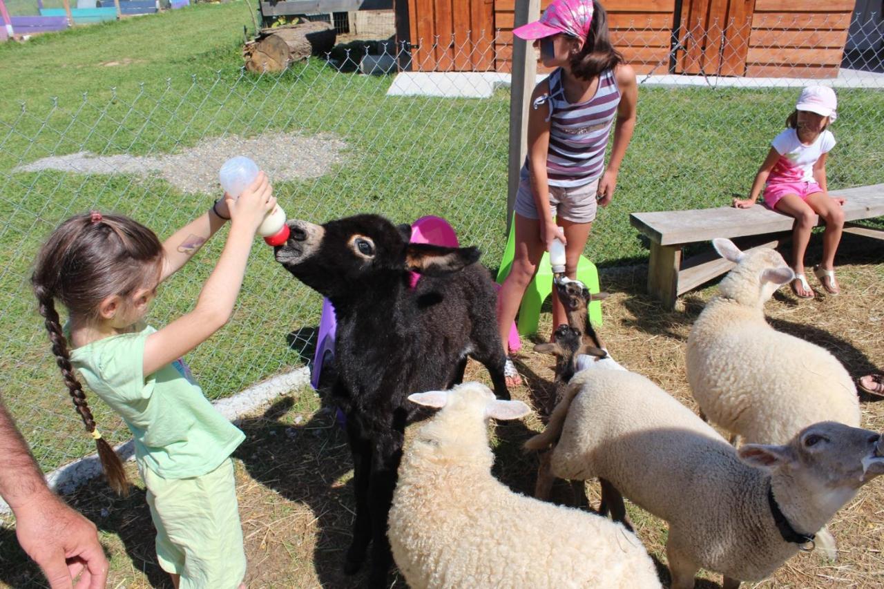 La Petite Ferme De Pouillon - Parc Animalier - Aire De Loisirs B&B 외부 사진